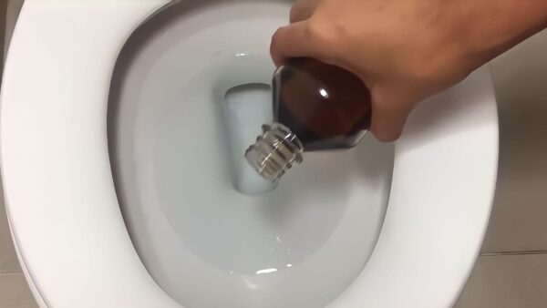 Revelado el truco casero para tener un baño libre de manchas, malos olores e insectos