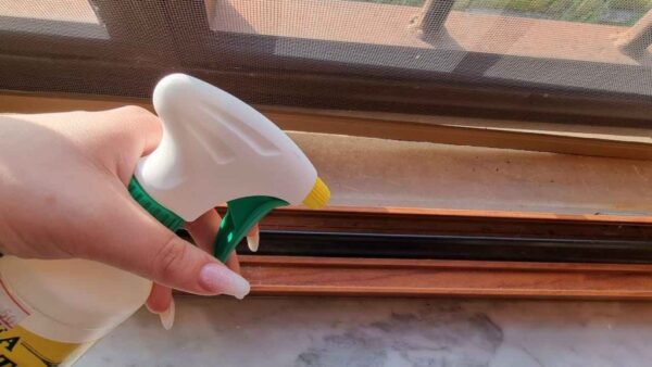 Rocíe esto en los rieles de la ventana: los insectos, chinches y moscas desaparecerán