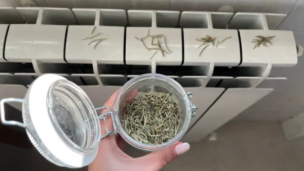 Romero en los radiadores, porque las amas de casa empezaron a hacerlo en casa