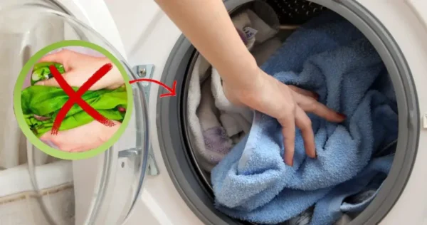 Ropa perfecta: ¡nunca metas esta ropa en la lavadora!