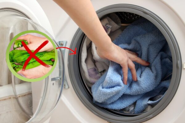 Ropa perfecta: ¡nunca metas esta ropa en la lavadora!