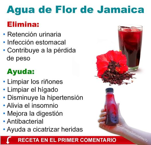 Sabias que con Esta Flor Puedes Preparar una Saludable Bebida !!