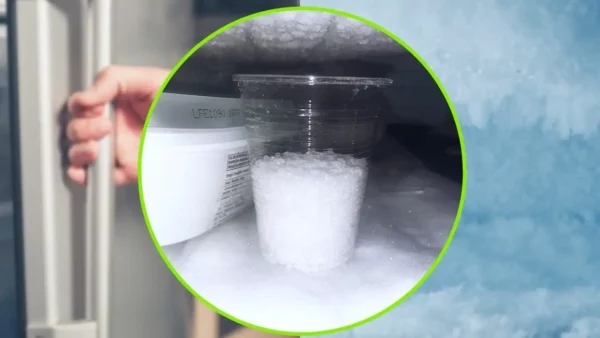 Sal en el congelador, deja un vaso cada noche:  La solución a un problema común
