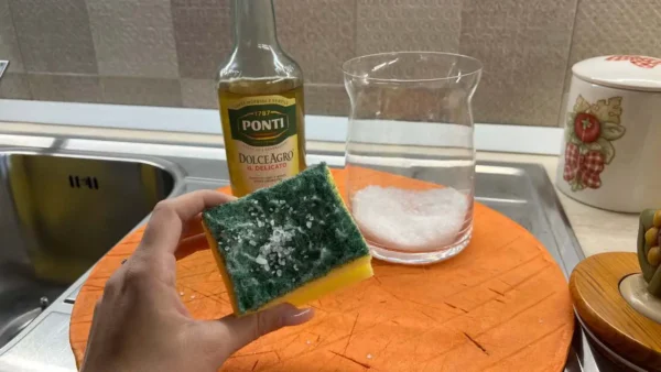 Sal y vinagre en la esponja de tu plato, dejarás de tirar mucho dinero por el desagüe