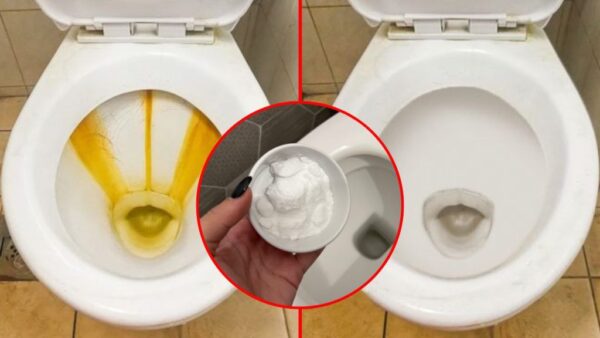 Sarro en el baño, cómo eliminarlo: utiliza este potente remedio natural