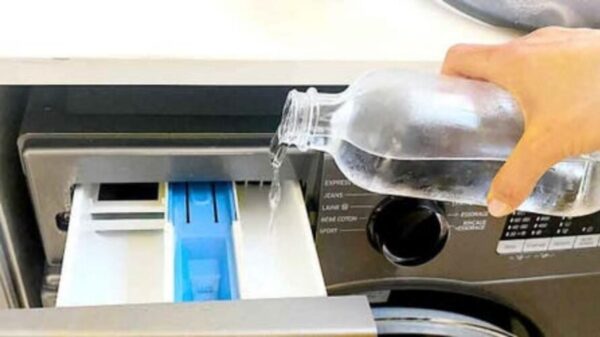 Secretos Revelados: Cómo Dejar Tu Lavadora Impecable con Solo 3 Centavos