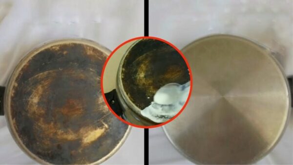 Secretos Sencillos para Revivir el Brillo de tus Utensilios de Cocina: Despidiéndote de las Bruciaturas de Forma Natural