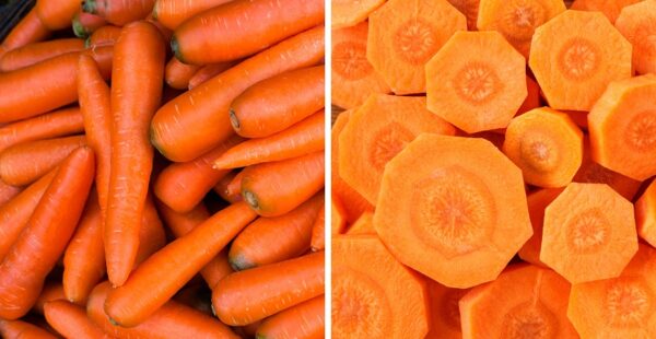 Secretos para conservar las zanahorias siempre frescas