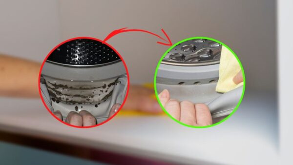 Sellado de lavadora, elimina todo el moho con este remedio casero