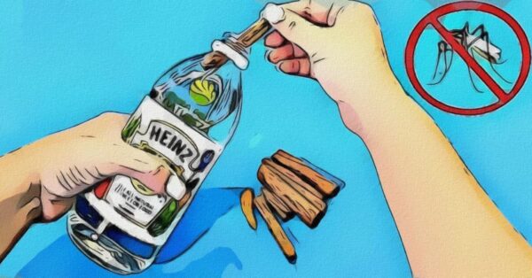 Sencillo remedio para preparar un repelente de mosquitos casero a base de ingredientes naturales