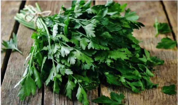 Si su perejil crece lentamente, pruebe este método: “¡guau!”