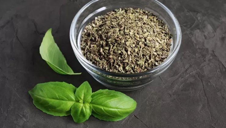Spighette di basilico essiccate Espiguillas secas de albahaca