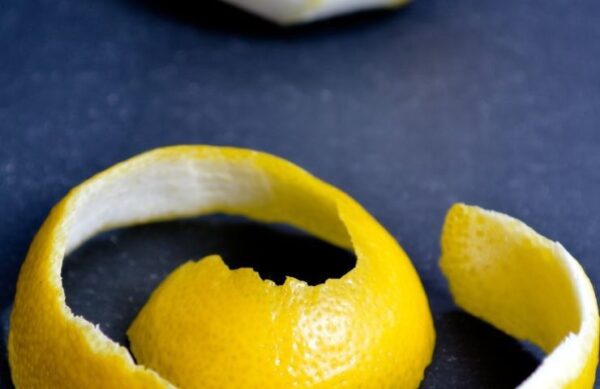 Siempre debes poner cáscaras frente al alféizar de tu ventana: el patrón te sorprenderá