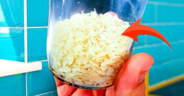 Siempre tengo una botella de arroz en casa, esta increíble cosa me ahorra muchos problemas.