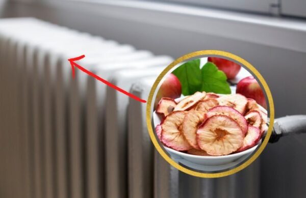 Sólo necesitas unas rodajas de esta fruta en el radiador para tener un hogar súper fragante