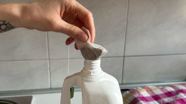Sumerge una bolsita de té en lejía: lo que sucede después es impredecible