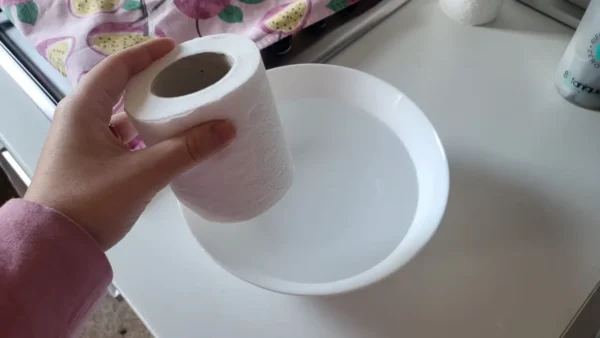 Sumerja un rollo de papel higiénico en agua hirviendo: no tiene idea de lo que podría crear