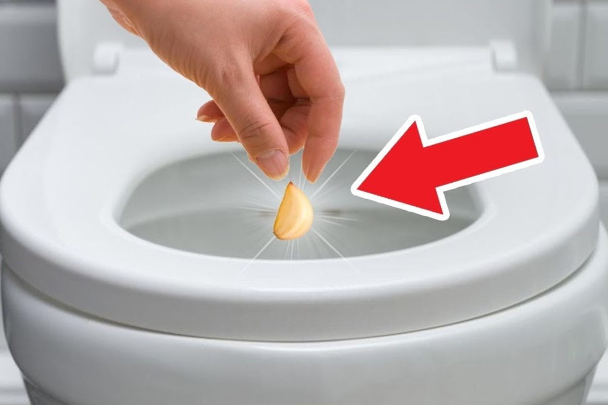 echar un diente de ajo ajo wc 1