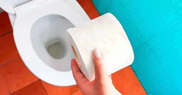 ¿Tiras los rollos de papel higiénico y las toallas sanitarias por el inodoro? es un gran errorboton de compartir whatsapp