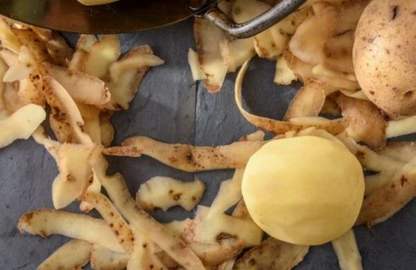 ¿Todavía tiras las cáscaras de las papas 🥔? Úsalos así y resolverás un gran problema en la casa