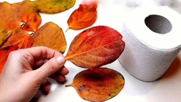 Todo lo que necesitas son 10 hojas y un rollo de papel higiénico para crear algo único.