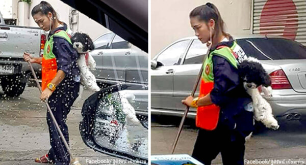 Trabajadora de limpieza va al trabajo con su perro para no dejarlo solo