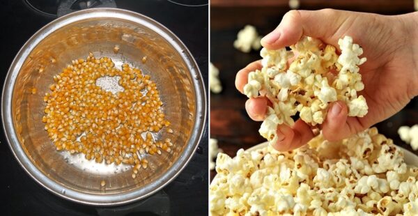 Truco casero para hacer PALOMITAS sin aceite (solo con agua)