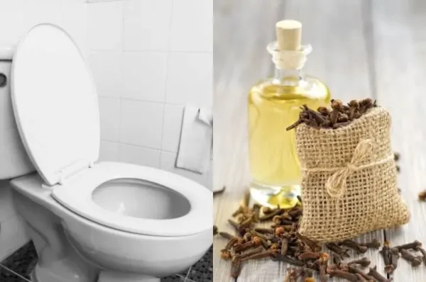 Truco infalible para quitar el olor a orina y perfumar la casa