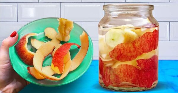 Trucos para ahorrar en los gastos de tu hogar simplemente usando cáscaras de manzana para hacer vinagre