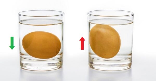 Trucos para saber si un huevo se puede comer