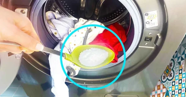 ¿Tu colada huele mal? 6 consejos simples y efectivos para una ropa siempre perfumada