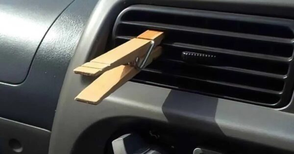 Un ingenioso truco para perfumar el coche y la casa de forma natural