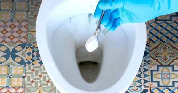 Un truco genial para limpiar el inodoro de forma natural y dejar un agradable aroma
