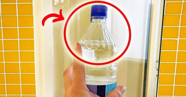 Una botella de vinagre blanco es suficiente para resolver 4 problemas en casa