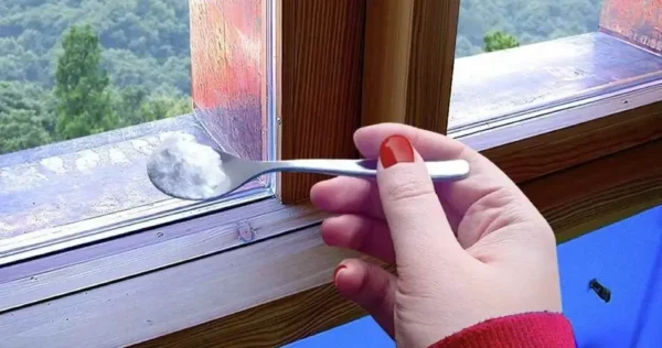 Una cucharada de este ingrediente y ahuyentarás insectos en tan solo unos segundos