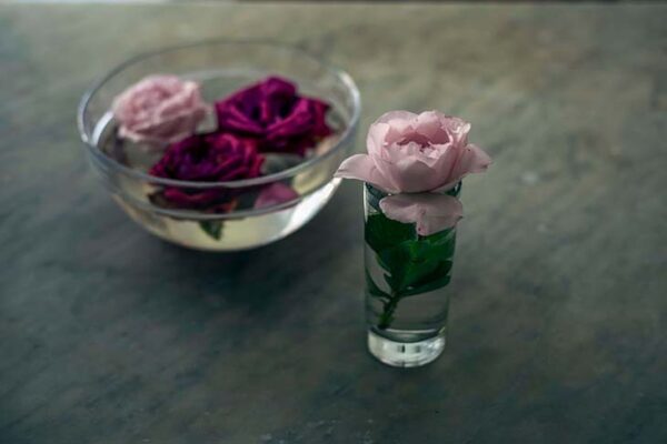 ¡Unas gotas de agua de rosas perfuman la ropa y todo el ambiente!