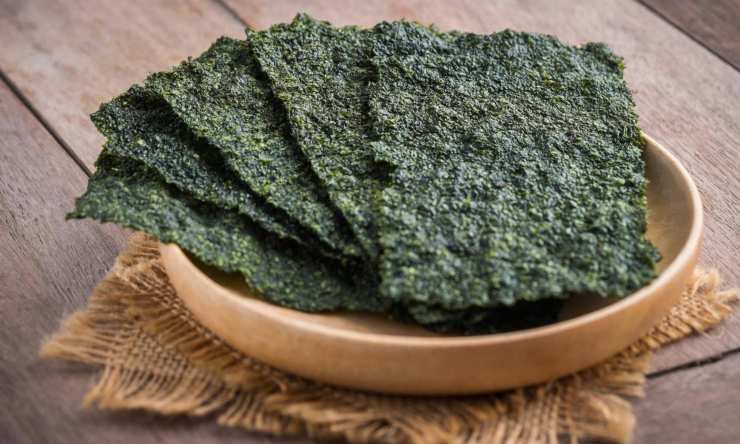 alga nori