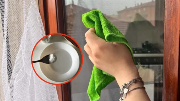 Vidrio: así es el método que utilizan los hoteles de 5 estrellas para limpiarlos sin dejar rayas