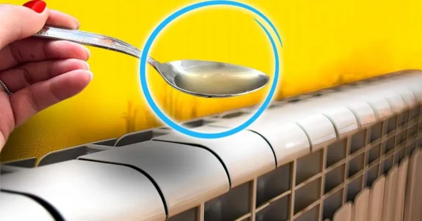 Vierte una gota de este ingrediente en tu radiador antes de encenderlo: ahorrarás en tus próximas facturas