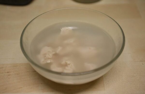 ¡Votada como la mejor trampa para mosquitos de todos los tiempos! He aquí cómo hacerlo