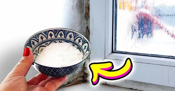 soluciones fáciles y eficaces para contrarrestar el fenómeno de la humedad en el hogar