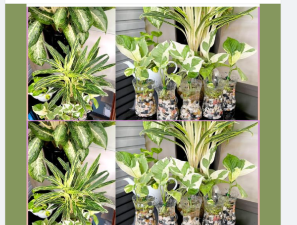 trucos para el hogar