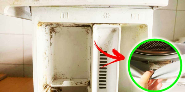 2 consigli infallibili per mettere fine alla muffa in lavatrice!