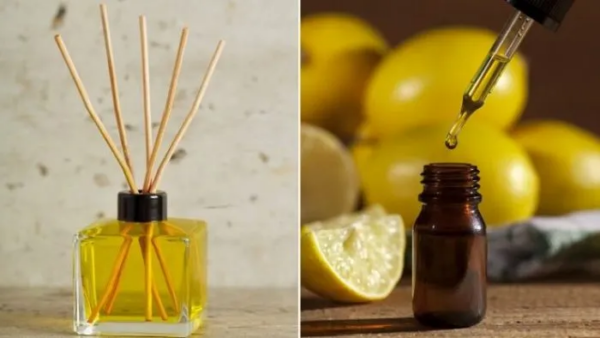 4 programmi di esercizi mirati per ridurre il girovita (7 minuti al giorno)