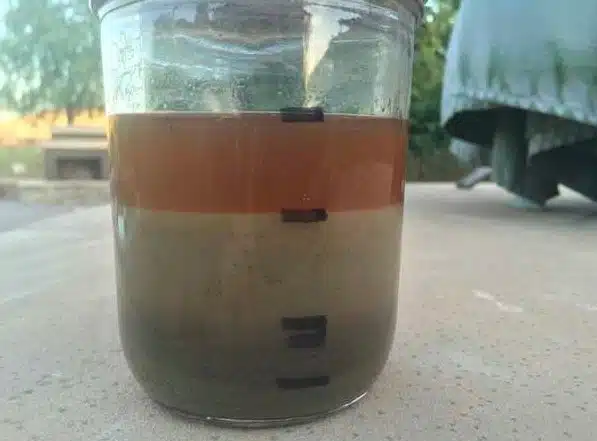 5 esperimenti per scoprire la natura del suolo del vostro giardino