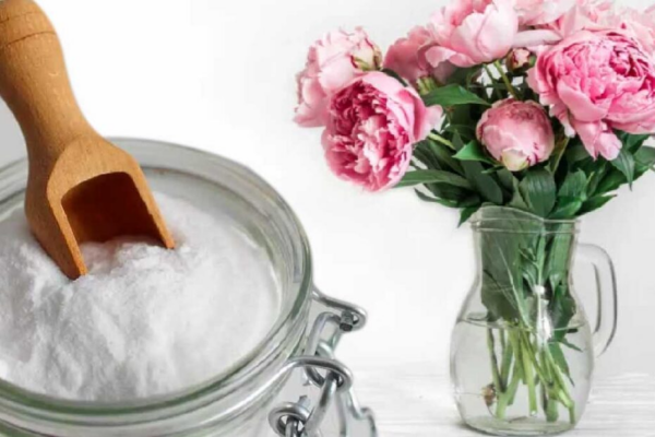 5 modi intelligenti per mantenere un bouquet di fiori freschi più a lungo!