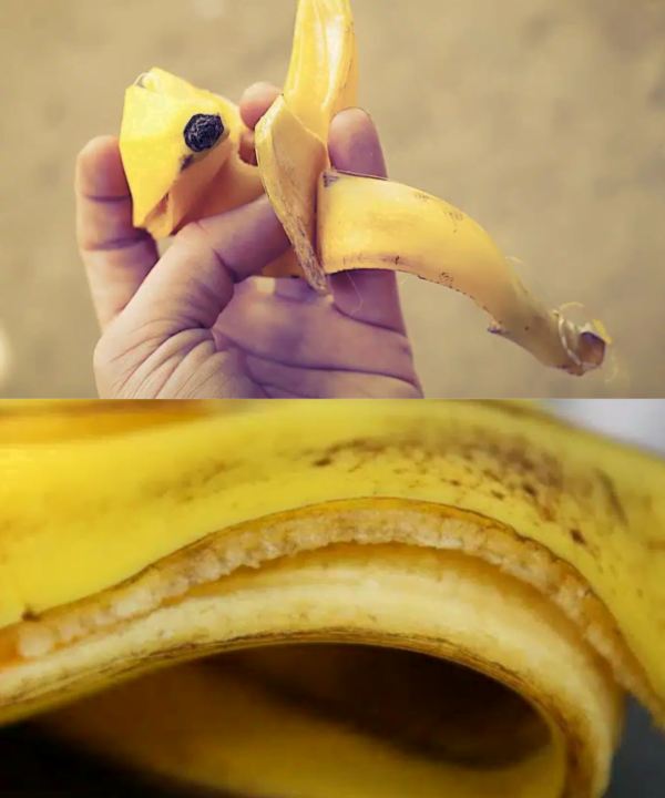 5 usi intelligenti della buccia di banana… in giardino