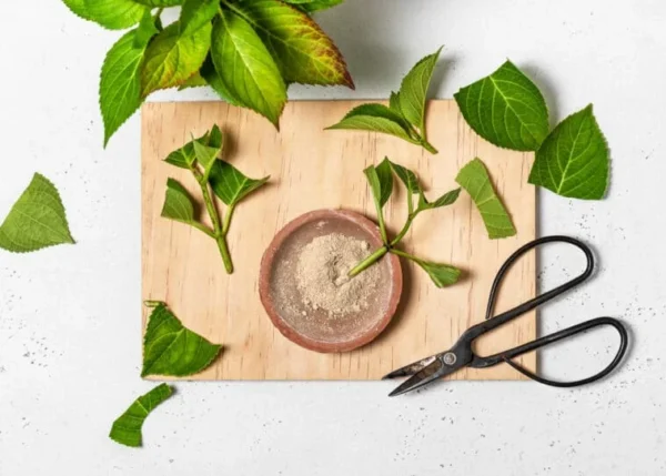 7 ricette 100% naturali per l’ormone da taglio fatto in casa