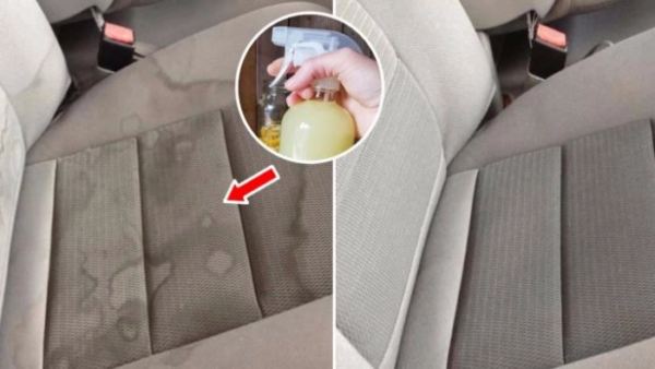 8 modi naturali per pulire la tua auto in modo rapido ed efficace