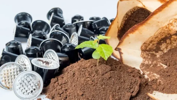 “Caffè macinato, un alleato inaspettato: Scopri 8 usi sorprendenti!”